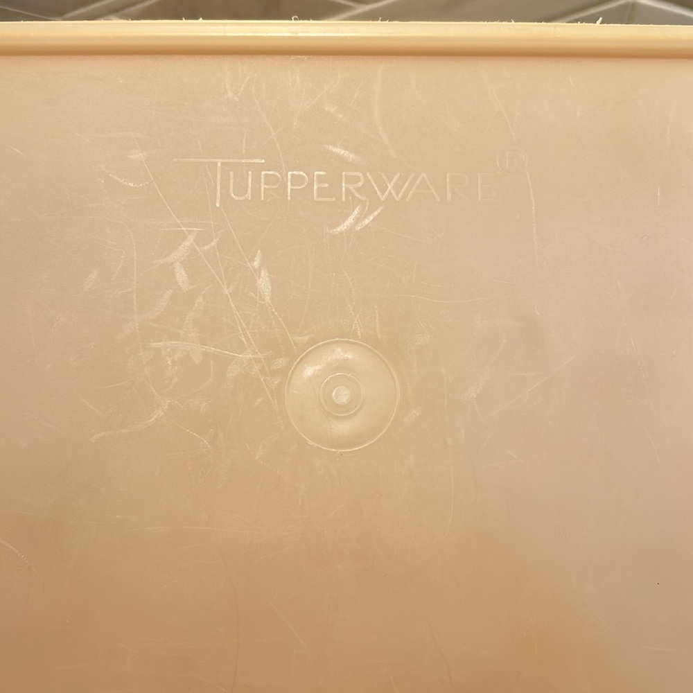 Vintage Tupperware Harvest Sun Container - Picture 3 of 7